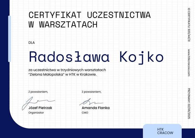 Elegancki i nowoczesny certyfikat uczestnictwa Elegancki i nowoczesny certyfikat uczestnictwa